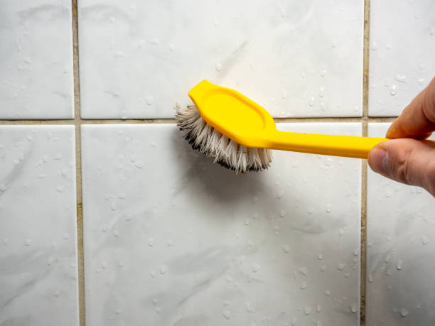 Best Mold Remediation  in Sky Valley, CA