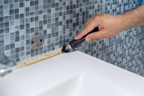 Best Office Mold Removal Services  in Sky Valley, CA