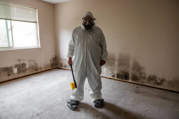 Best Crawl Space Mold Removal  in Sky Valley, CA